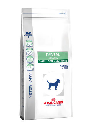 Dental special small dog under 10kg
